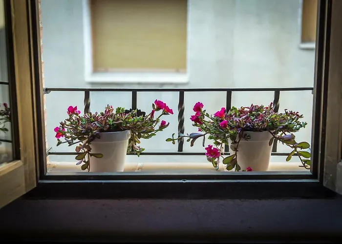 Casa rural El Olivo Estercuel